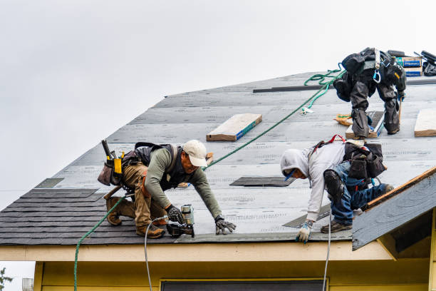 Professional Roofing technician working in Belding, MI